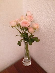 DSC 0018 e1449237467105