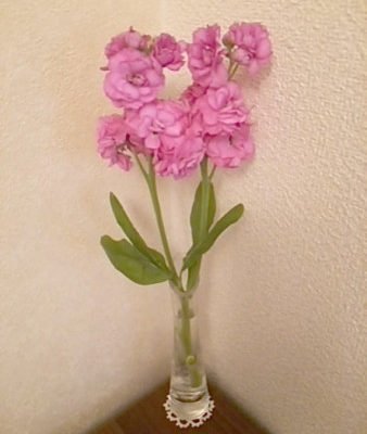 DSC 0040 1 e1465105178735