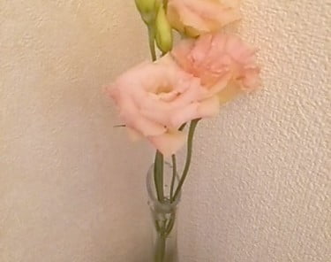 2bdd32f4659fc02ae36039a966ff97f7