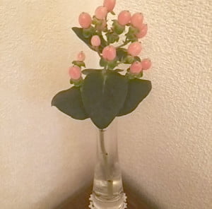 DSC 0014 5 e1465105516547