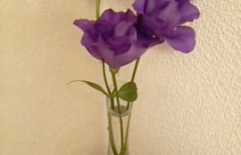 DSC 0060 e1492162145333