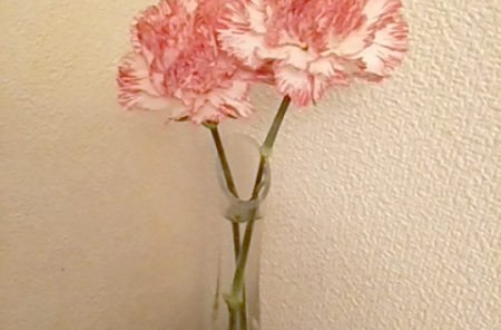 DSC 0074 3 e1492367144441