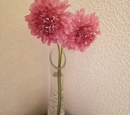 DSC 0210 8 e1489829992621