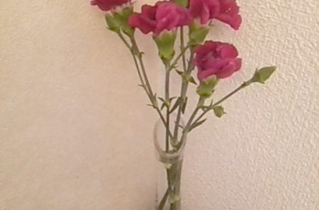 DSC 0213 2 e1489847767736