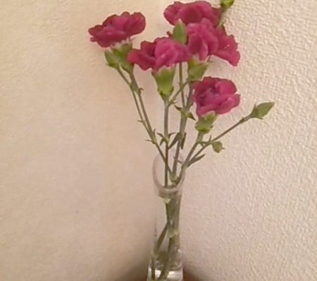 DSC 0213 2 e1489847767736