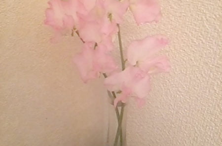 DSC 0227 5 e1489899198458