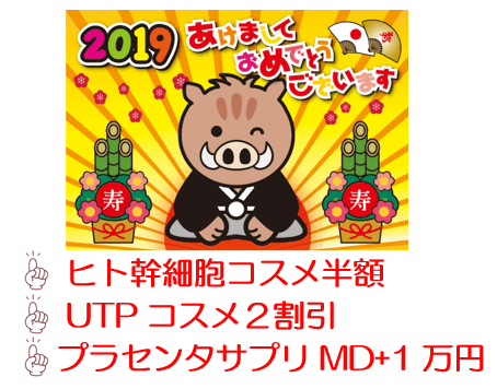 年始の挨拶とキャンペーン内容のイラスト