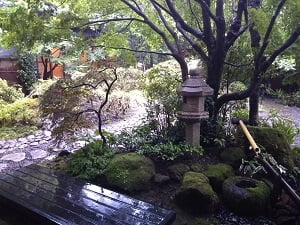 素敵なお庭の写真