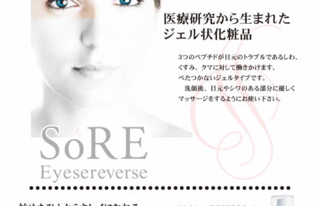 ソレアイセルリバース紹介チラシ