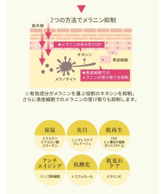 NBSワンドロップジェルのシミ予防説明の画像2