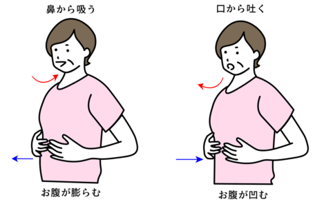 腹式呼吸のやり方のイラスト