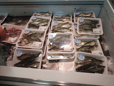 七ツ島海宝館の新鮮なアジが並ぶ写真