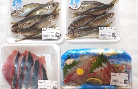 七ツ島海宝館の買った魚の写真