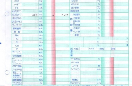 臨床検査報告書1